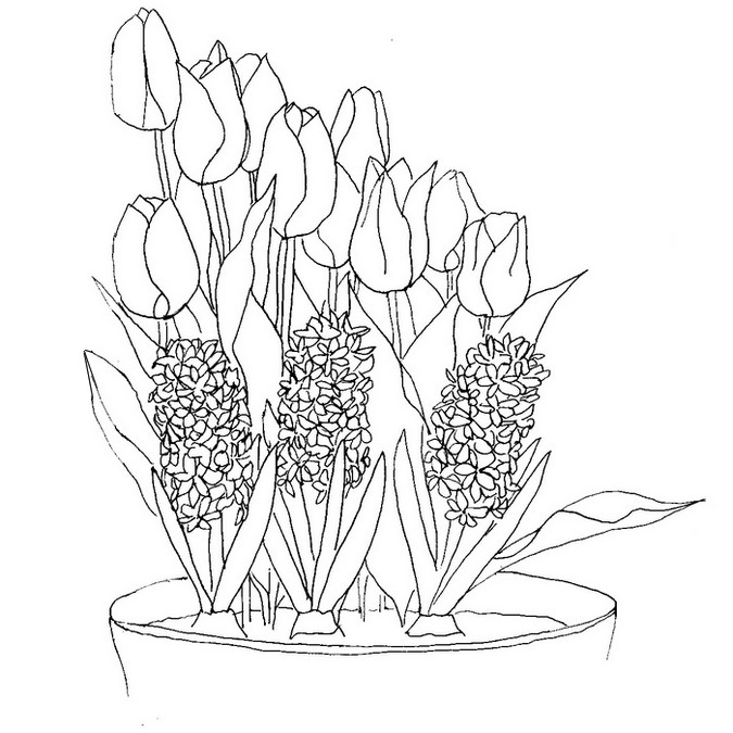Coloriage de fleurs avec feuillage luxuriant