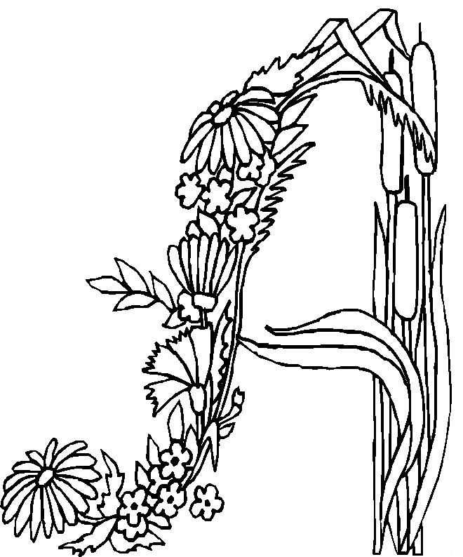 Coloriage de fleurs variées en pleine floraison