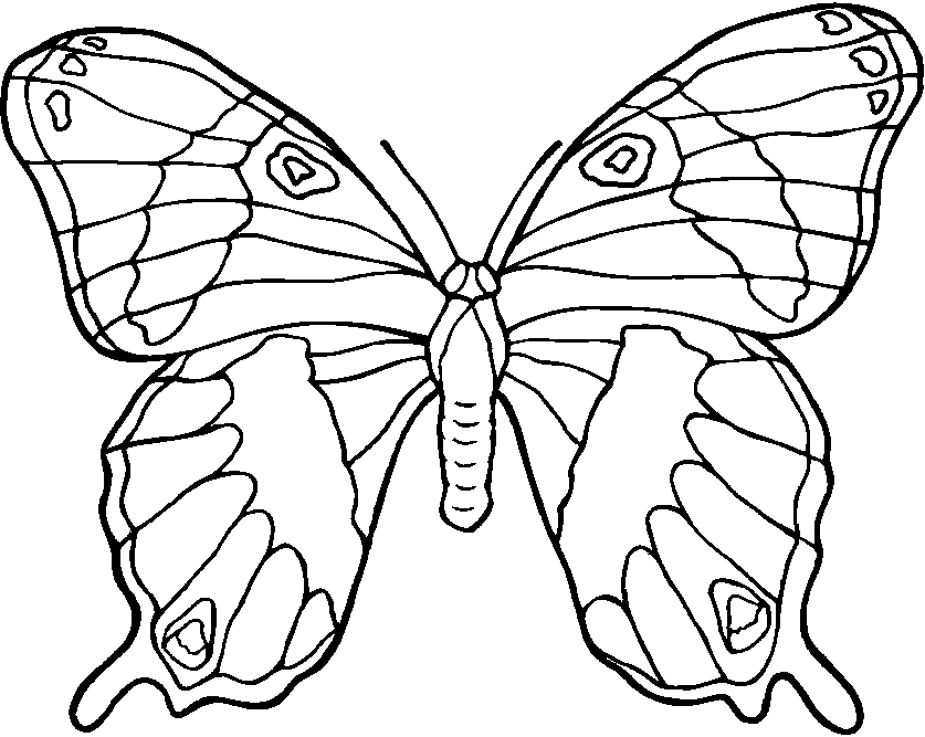 Coloriage de fleurs variées avec tiges et feuilles