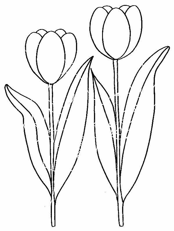 Coloriage de fleurs variées sur un fond simple