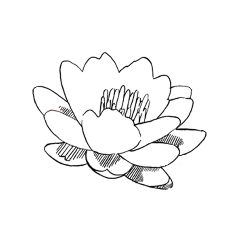 Coloriage de fleurs variées en pleine floraison
