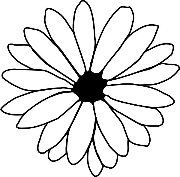 Coloriage de fleurs variées avec détails floraux