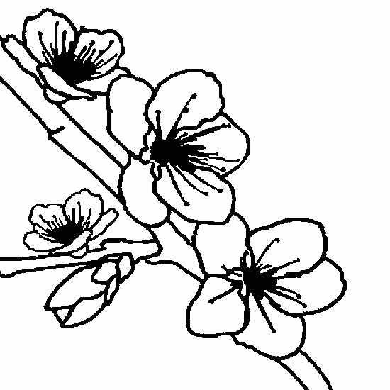 Coloriage de fleurs en pleine floraison avec des détails raffinés