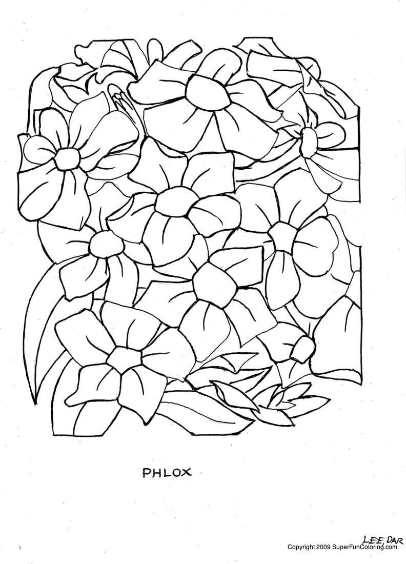 Coloriage de fleurs variées sur fond simple