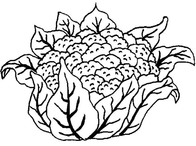 Coloriage de fleurs variées en pleine floraison
