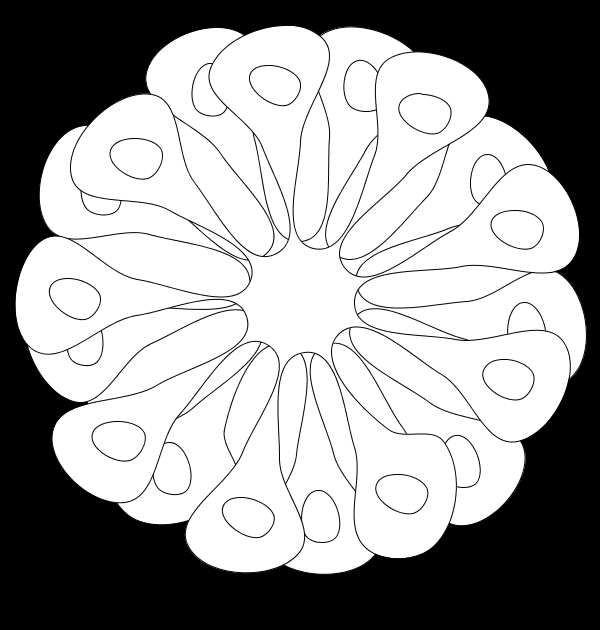 Coloriage de fleurs variées en pleine floraison