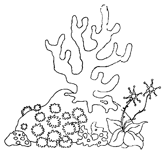 Coloriage d'un fond marin animé avec poissons et coraux