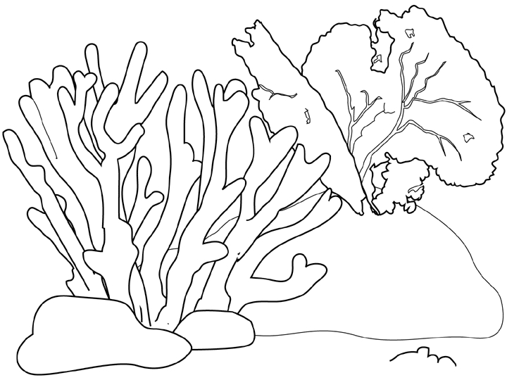 Scène de fond marin avec poissons et coraux colorés Scène de fond marin avec poissons et coraux colorés