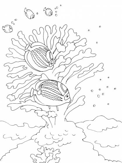 Coloriage d'un fond marin avec divers éléments marins Coloriage d'un fond marin avec divers éléments marins