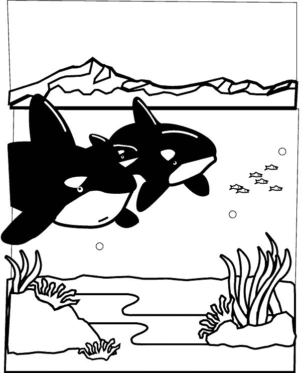 Scène de fonds marins avec poissons et coraux colorés
