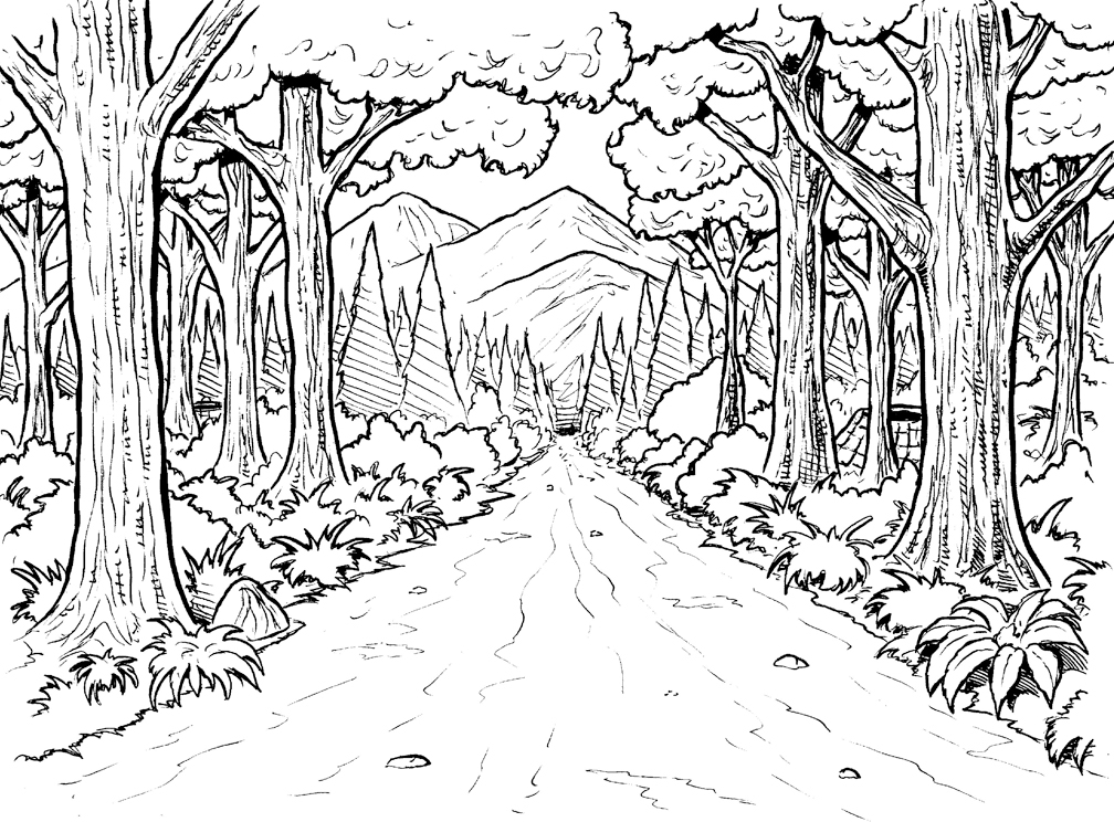 Coloriage d'une forêt avec des arbres, un chemin et des animaux