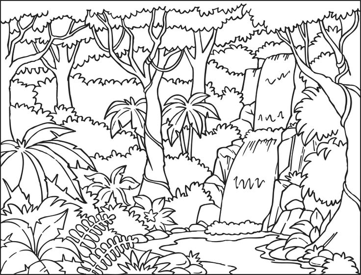 Scène de forêt avec des arbres, un chemin et des animaux