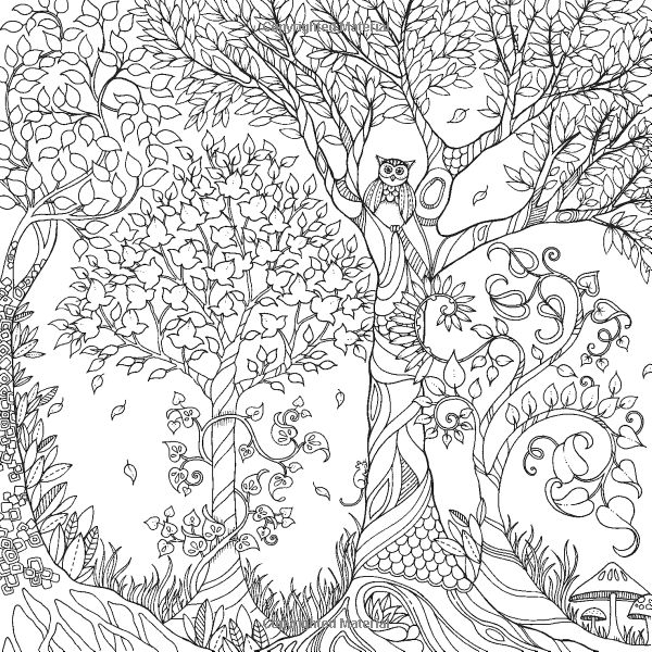 Coloriage d'une forêt dense avec des arbres et des plantes variées