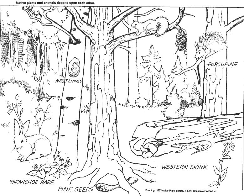 Scène de forêt avec un arbre majestueux et des animaux