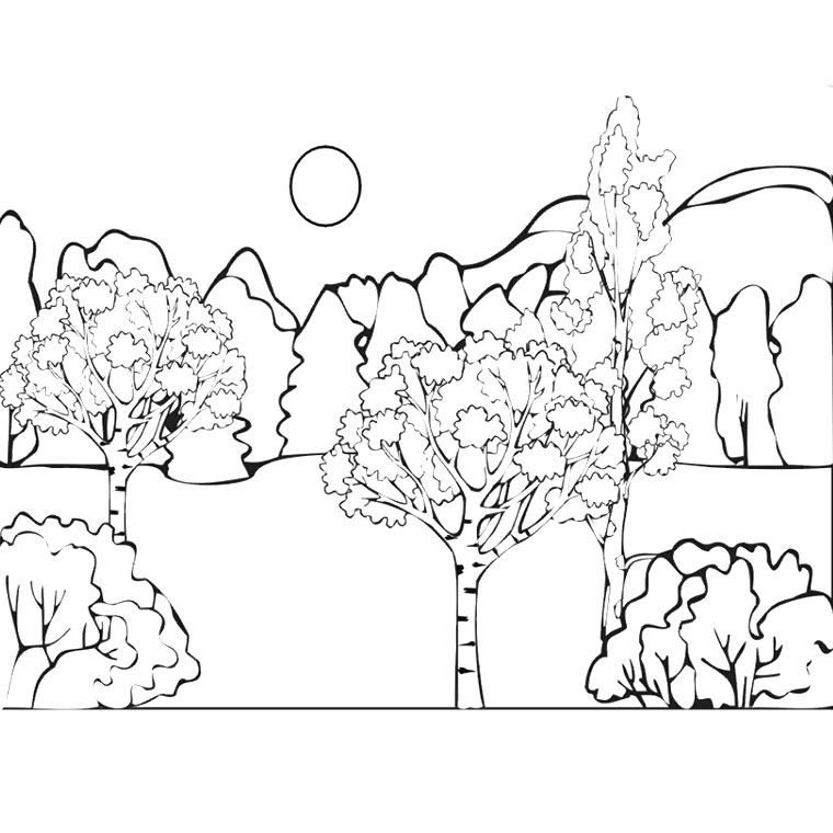 Scène de forêt avec des arbres et un ruisseau