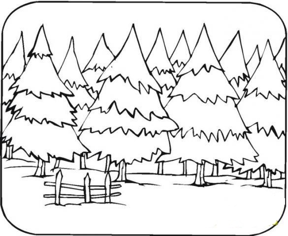 Scène de forêt avec des arbres et un chemin sinueux