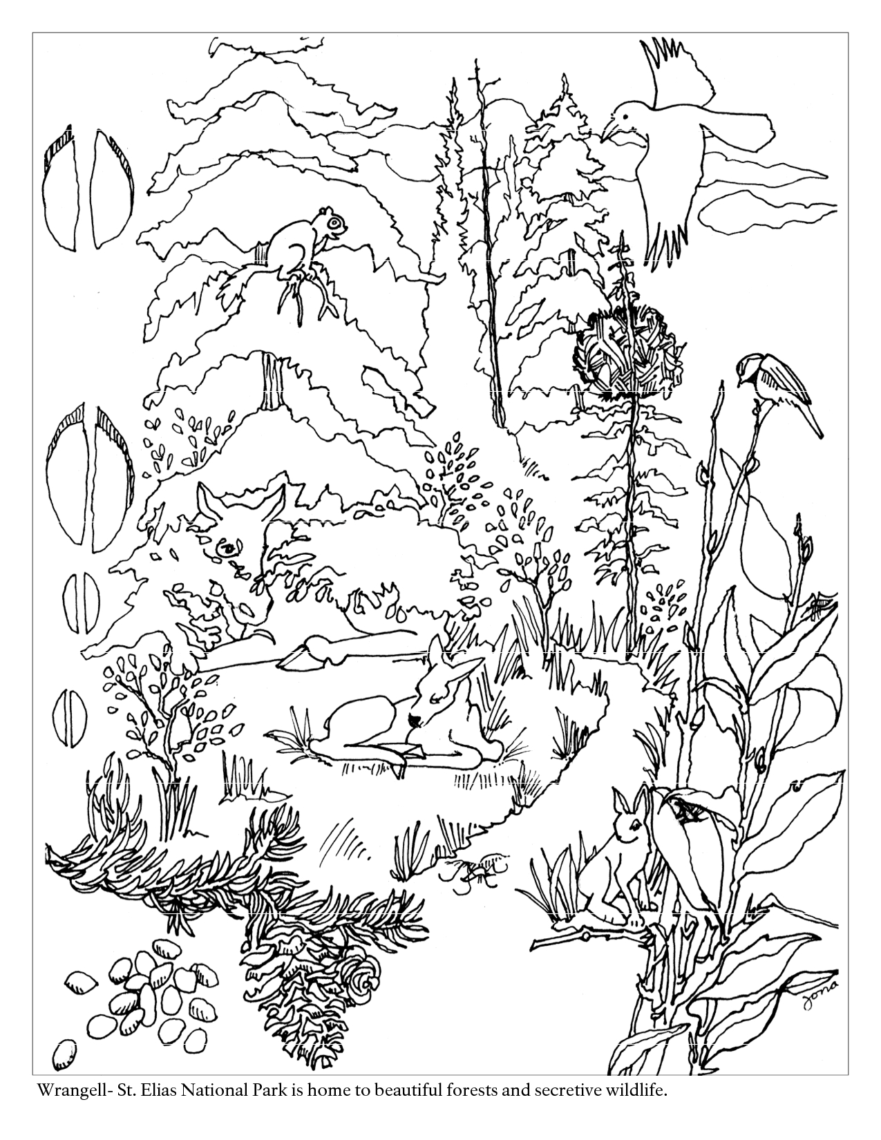Un coloriage de forêt avec des arbres et des éléments naturels