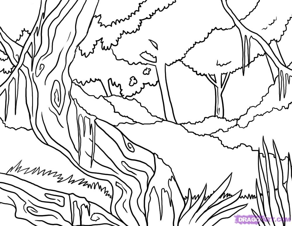 Scène de forêt avec un chemin et des arbres majestueux