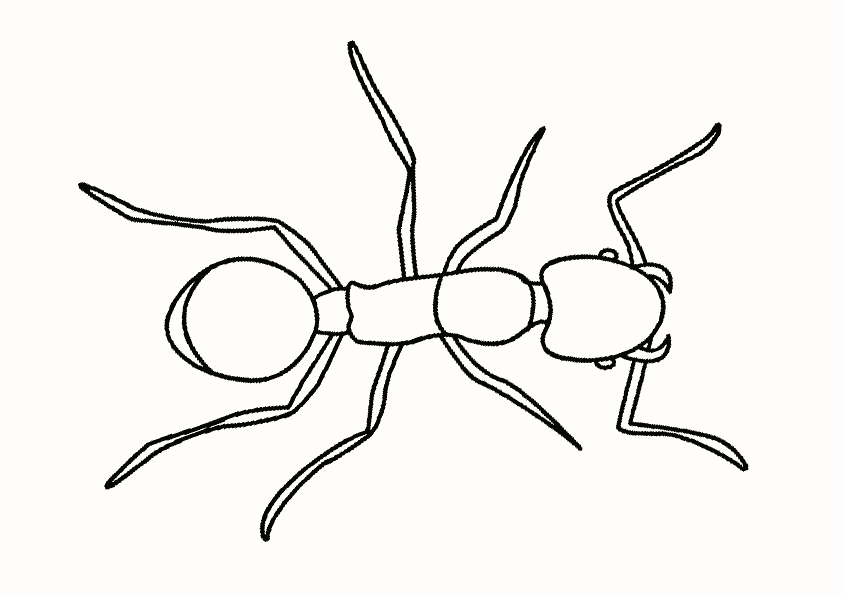 Coloriage d'une fourmi en plein travail sur une feuille