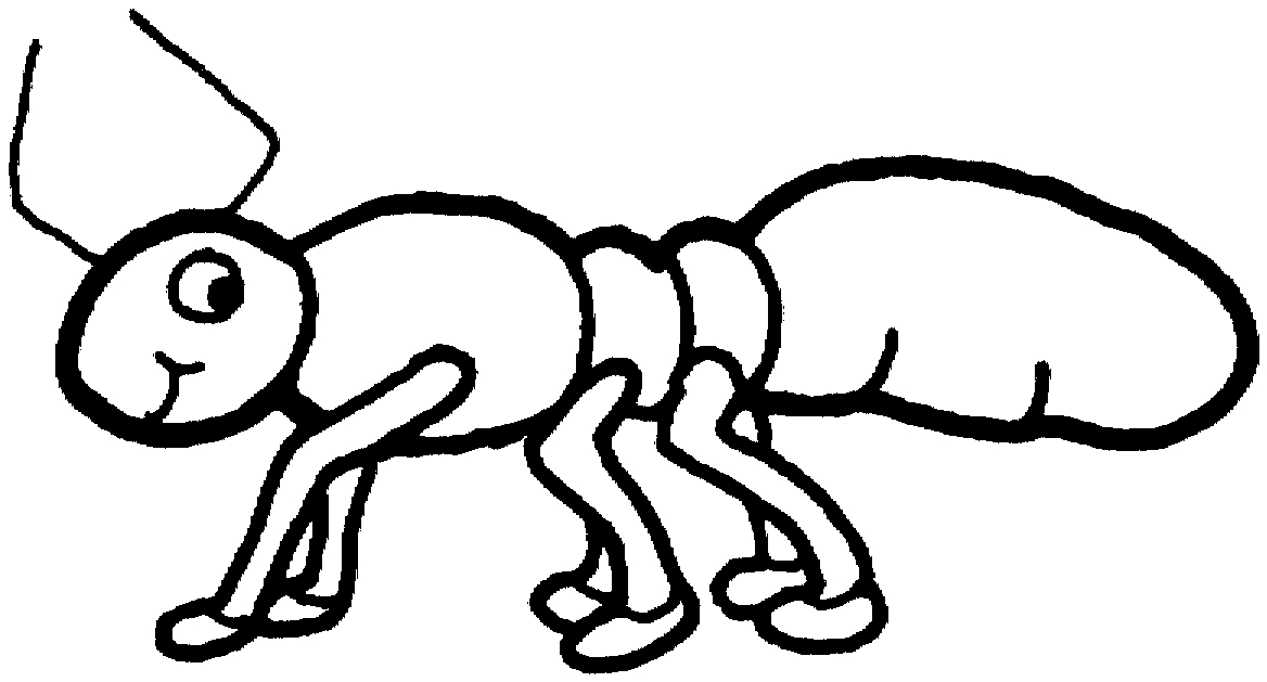 Coloriage d'une fourmi sur une feuille avec des détails de la nature