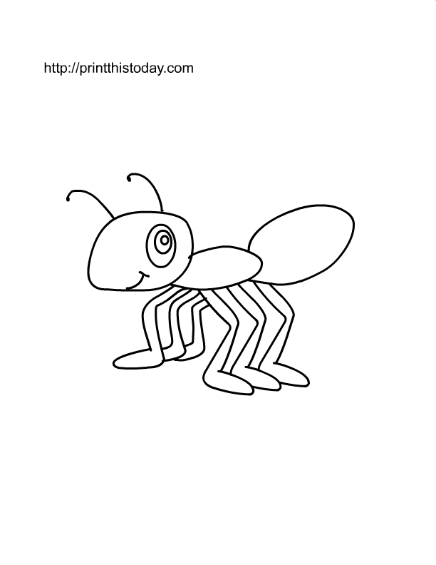 Coloriage d'une fourmi sur une feuille avec des éléments de la nature