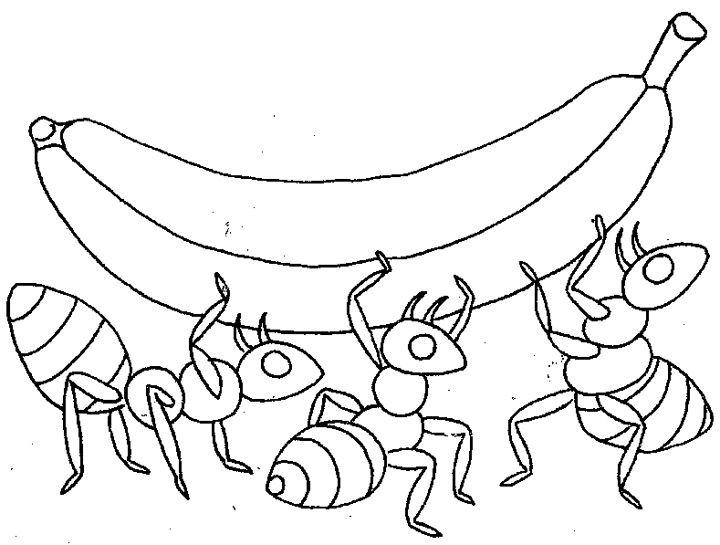 Coloriage d'une fourmi dans son environnement naturel