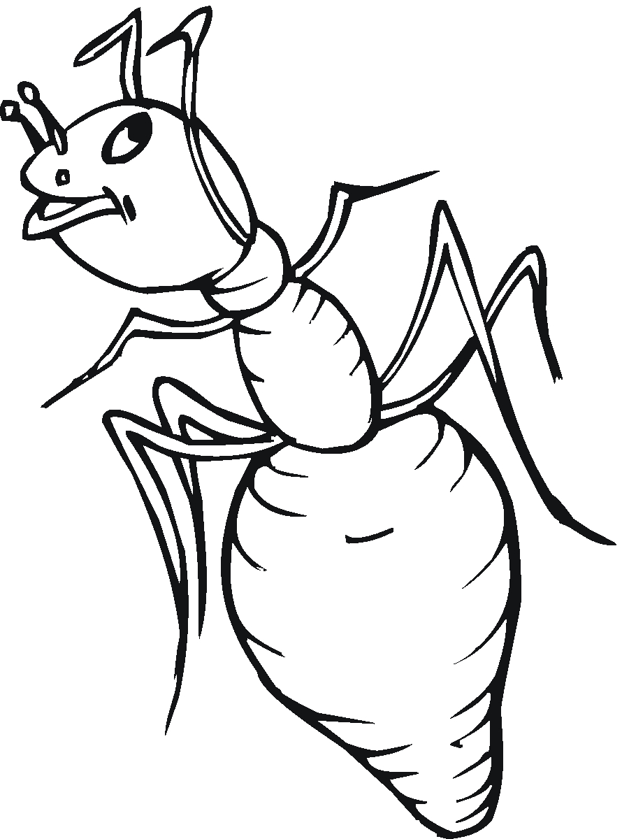 Coloriage d'une fourmi marchant sur une feuille
