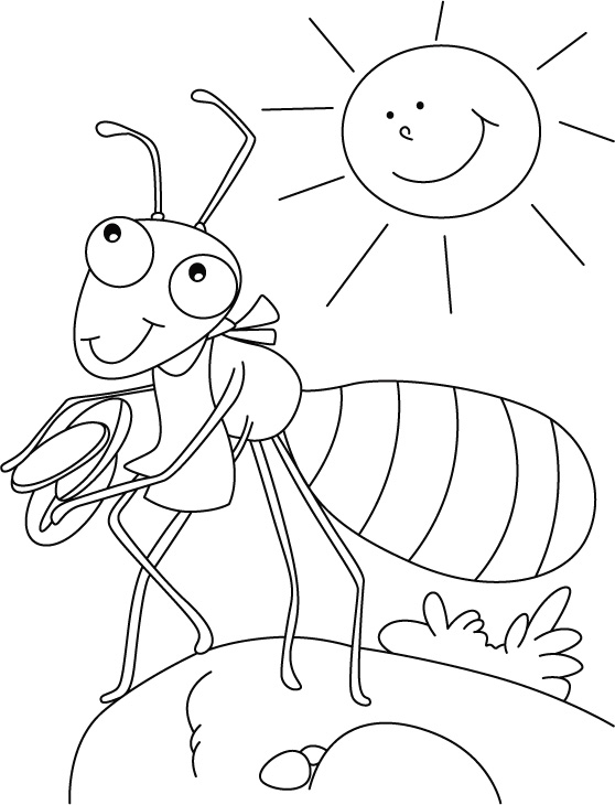 Un coloriage d'une fourmi avec des détails naturels