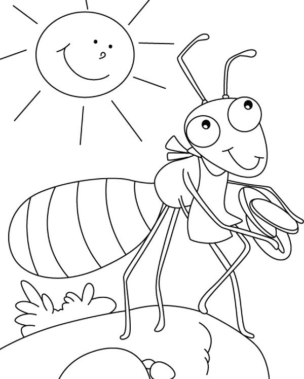 Coloriage d'une fourmi sur une feuille