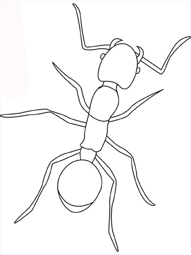 Coloriage d'une fourmi en pleine exploration sur un sol naturel Coloriage d'une fourmi en pleine exploration sur un sol naturel