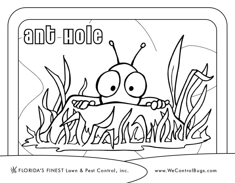 Coloriage d'une fourmi dans son environnement naturel