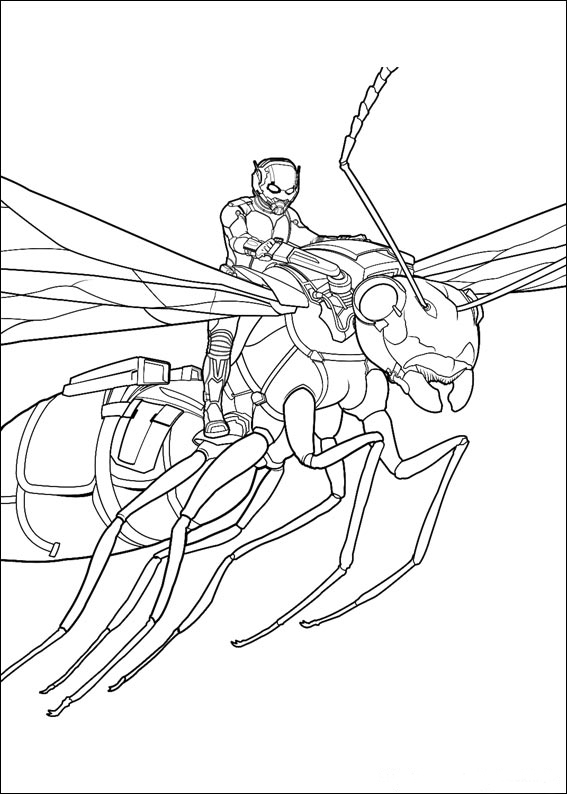Coloriage d'une fourmi sur un brin d'herbe