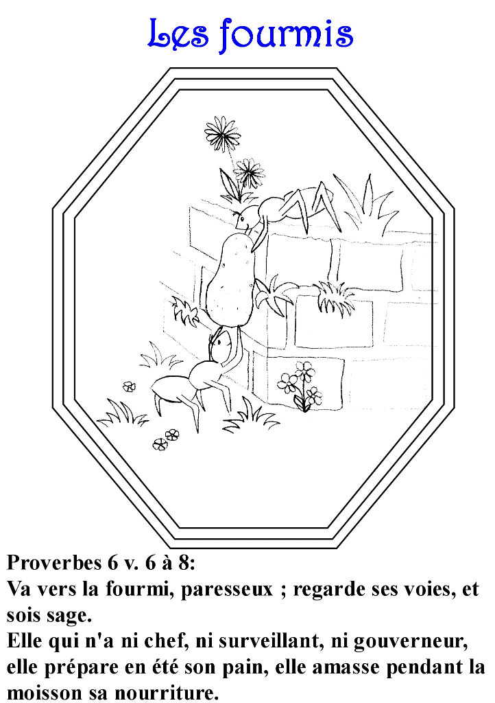 Illustration d'une fourmi en pleine exploration sur un sol texturé