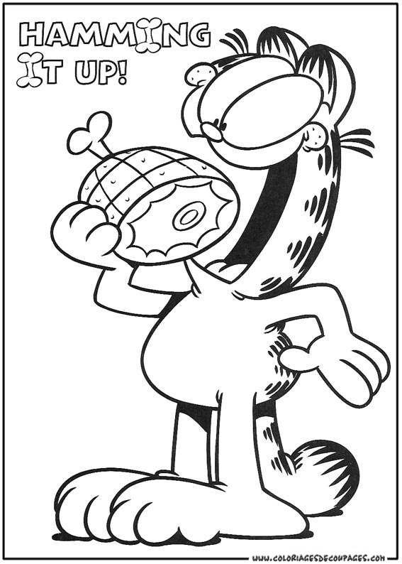 Garfield se prélassant sur un coussin moelleux