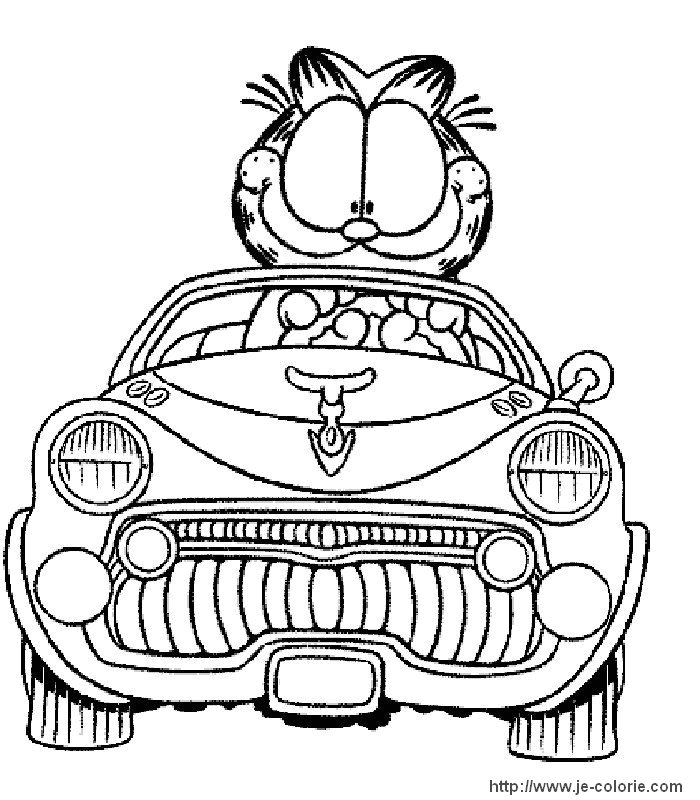 Garfield en pleine sieste sur un coussin moelleux