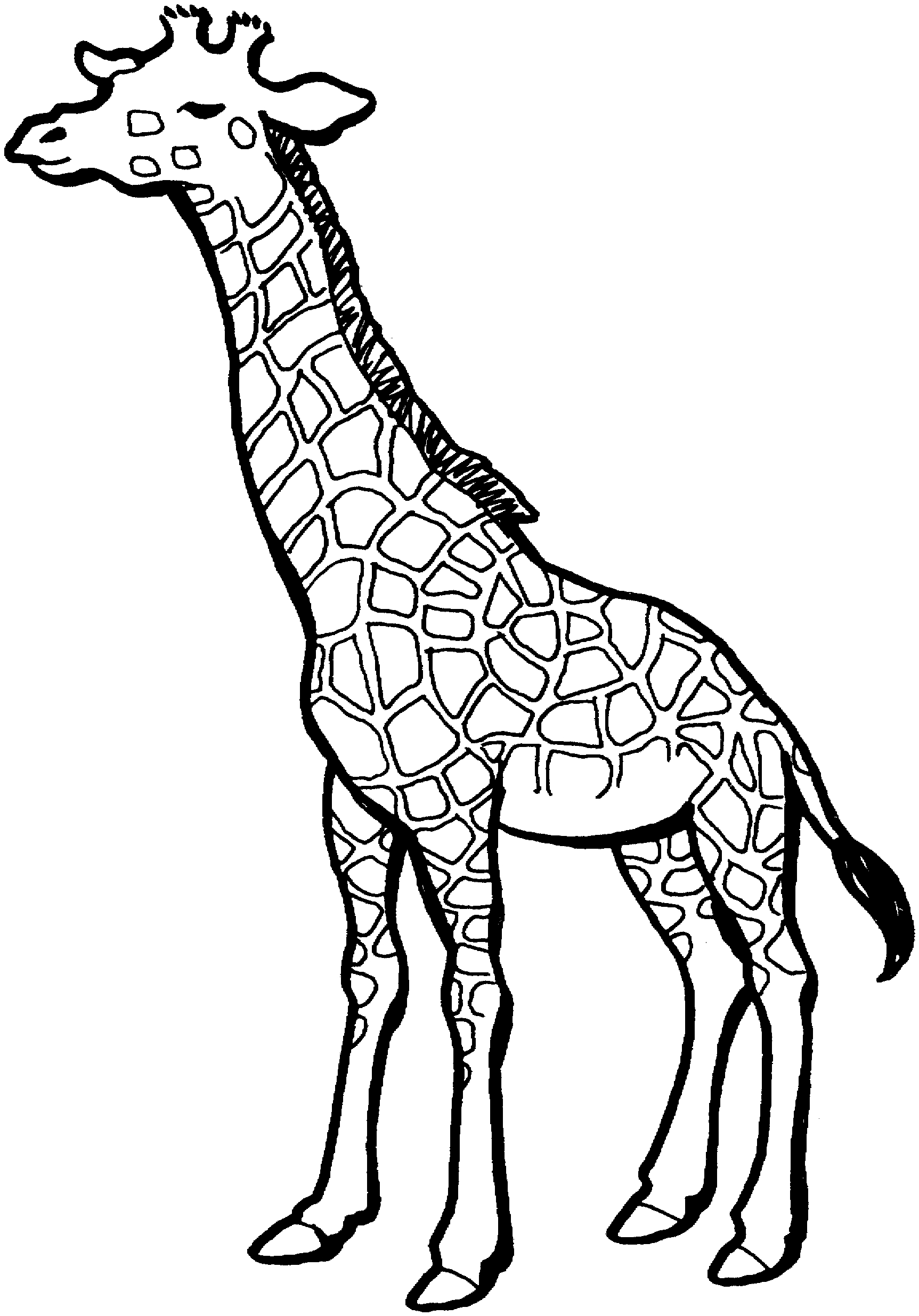 Coloriage d'une girafe dans un paysage savane