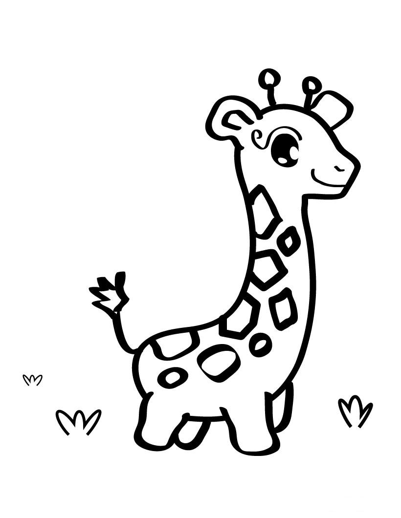 Coloriage d'une girafe au long cou dans un environnement naturel