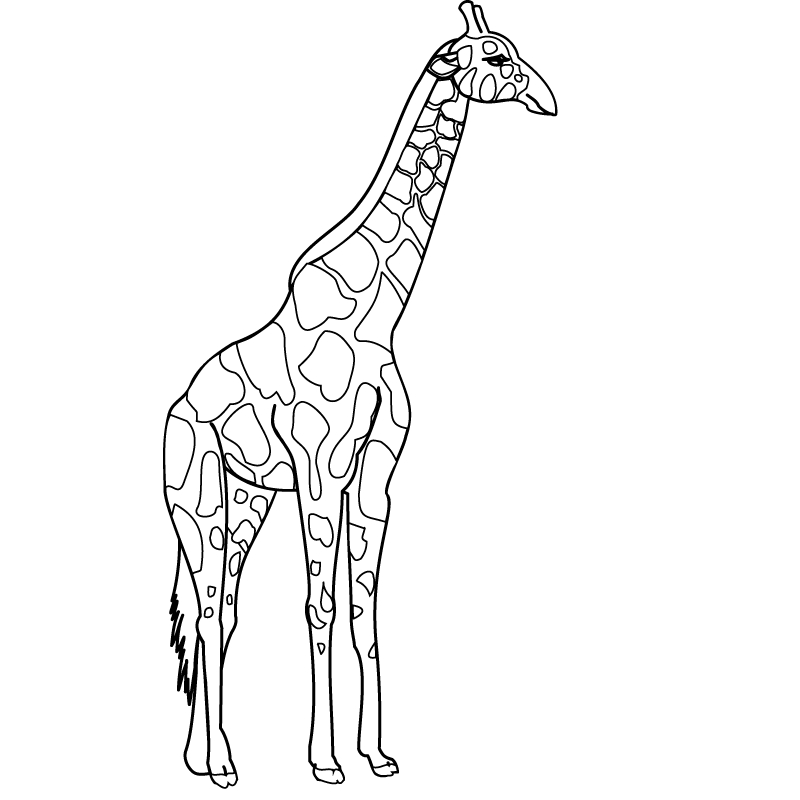 Coloriage d'une girafe se tenant debout dans son habitat naturel