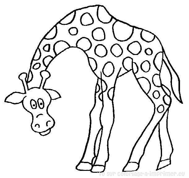 Coloriage d'une girafe dans un paysage naturel
