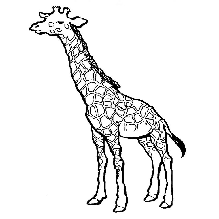Coloriage d'une girafe dans un paysage naturel