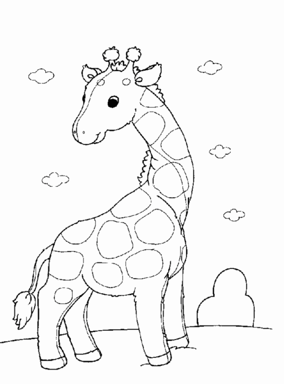 Girafe gracieuse se dressant sous un ciel ouvert