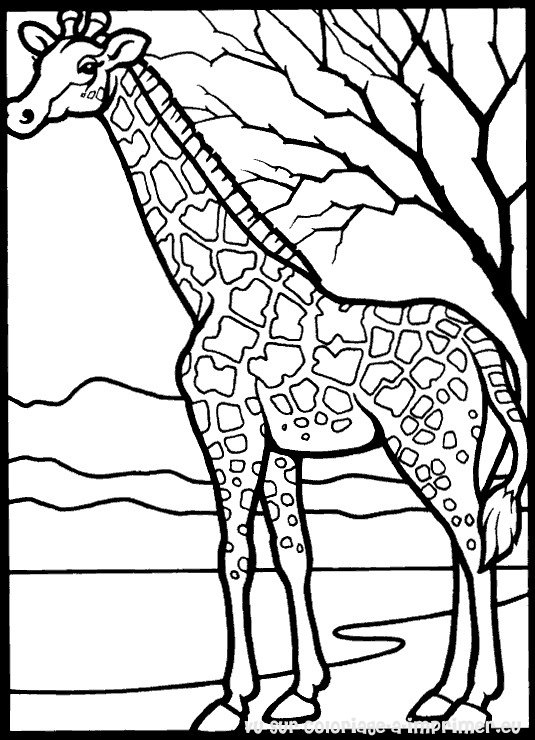 Coloriage d'une girafe se tenant debout dans un paysage simple
