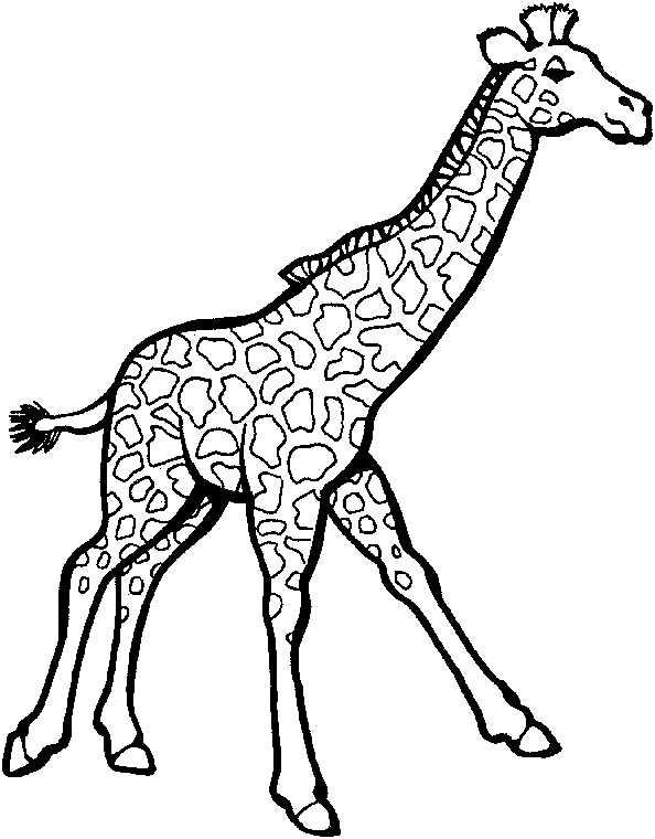 Coloriage d'une girafe majestueuse dans un environnement naturel