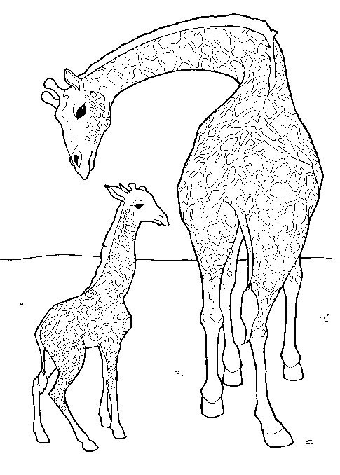 Coloriage d'une girafe se tenant debout dans la savane
