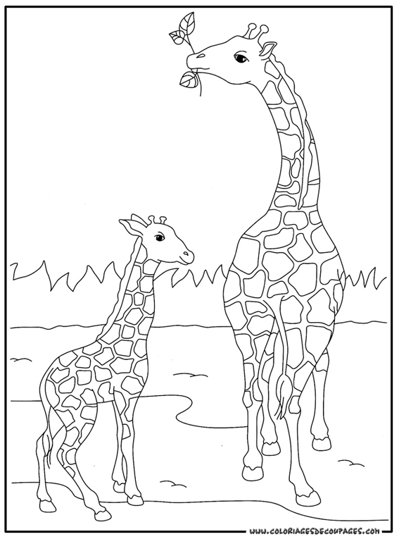 Coloriage d'une girafe se tenant dans la savane