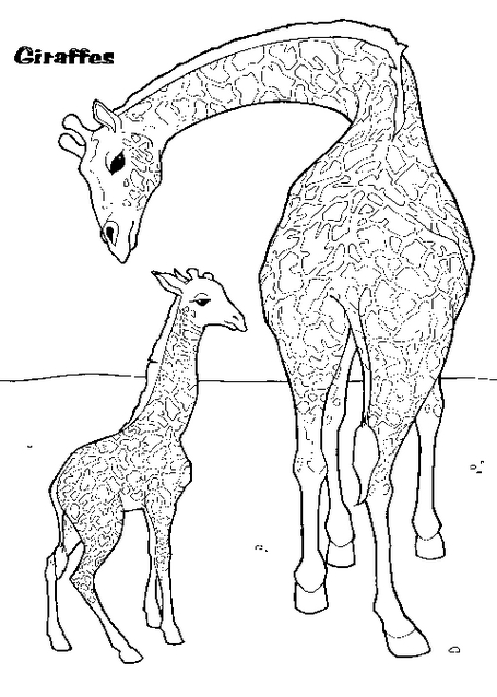 Coloriage d'une girafe gracieuse dans un paysage simple Coloriage d'une girafe gracieuse dans un paysage simple