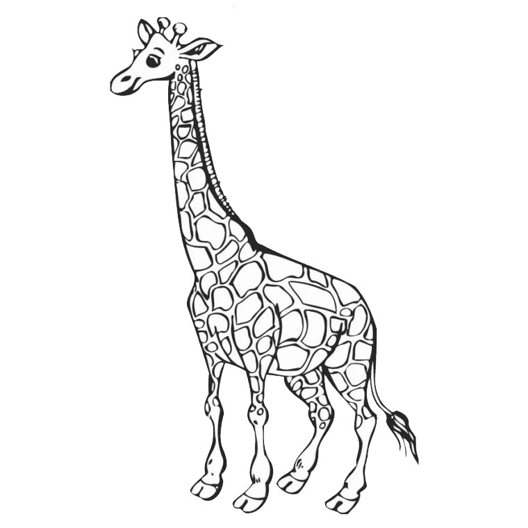 Coloriage d'une girafe se tenant sous un arbre