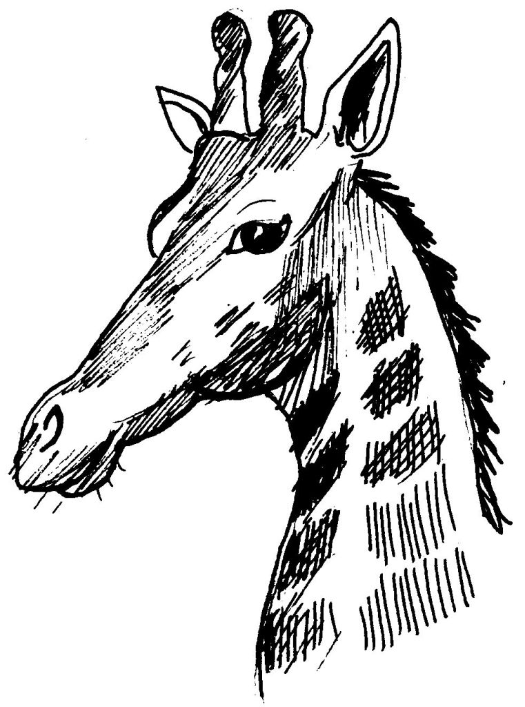 Coloriage d'une girafe se tenant debout dans un paysage simple