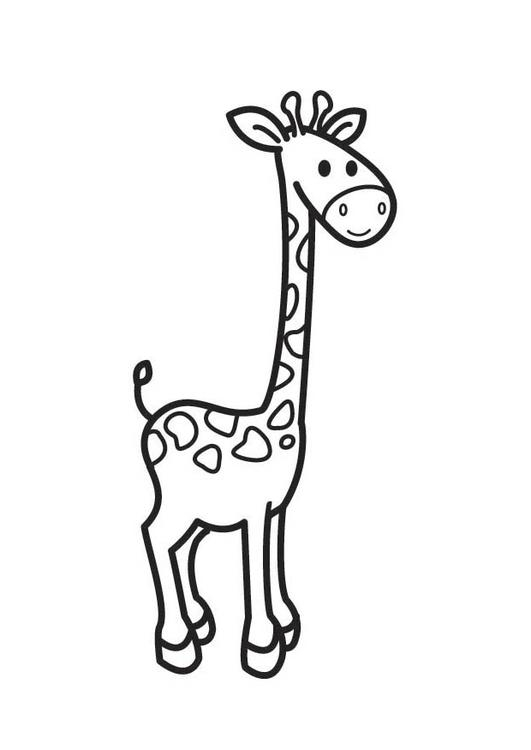 Coloriage d'une girafe au long cou dans un paysage simple