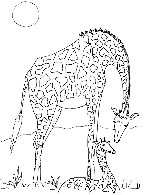 Coloriage d'une girafe dans un environnement naturel